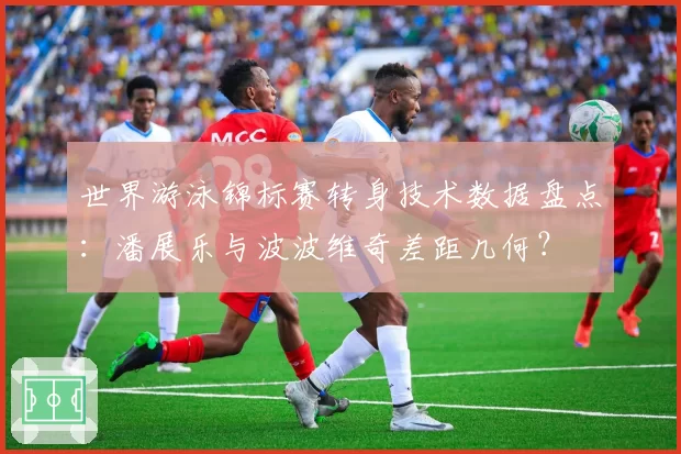 世界游泳锦标赛转身技术数据盘点：潘展乐与波波维奇差距几何？