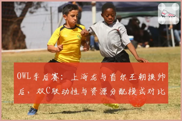 OWL季后赛：上海龙与首尔王朝换帅后，双C联动性与资源分配模式对比